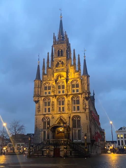 Center Gouda: View Deluxe Gouda